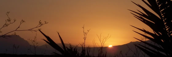 Alba a Favignana